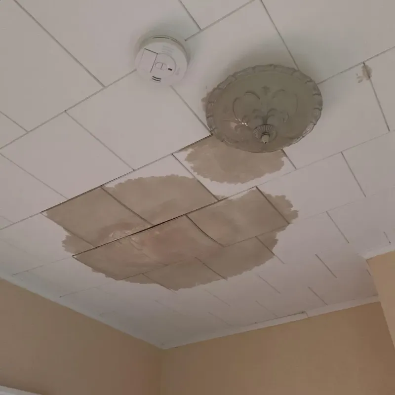 Ceiling Water Damage Repair in Wahpeton, ND