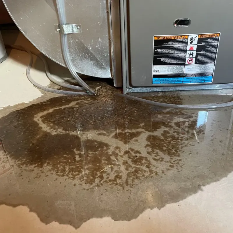 Pipe Burst and Leak Restoration in Wahpeton, ND
