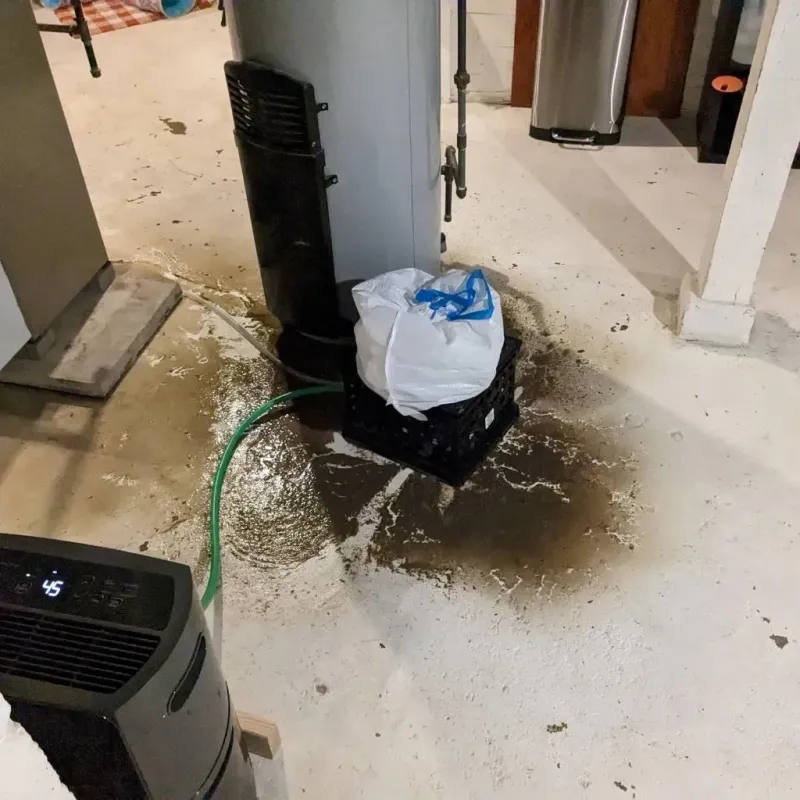 Sewage Backup Cleanup Service in Wahpeton, ND